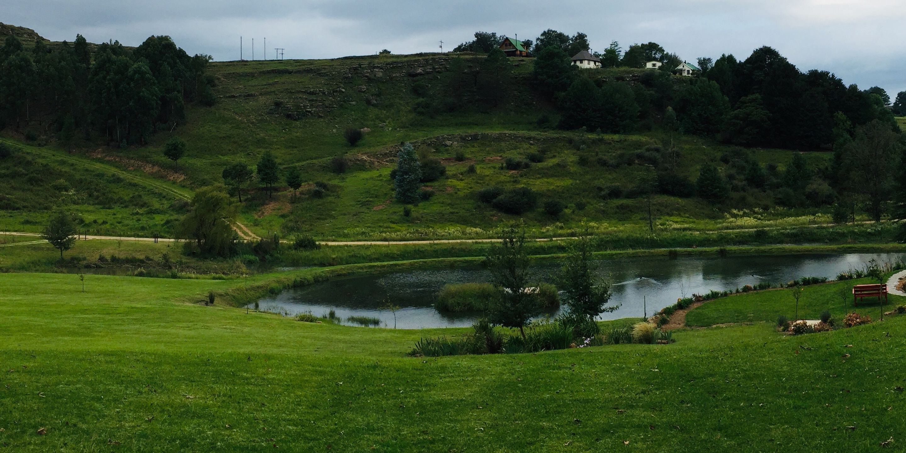 Un paysage verdoyant avec un étang, des arbres et quelques maisons sur une colline.