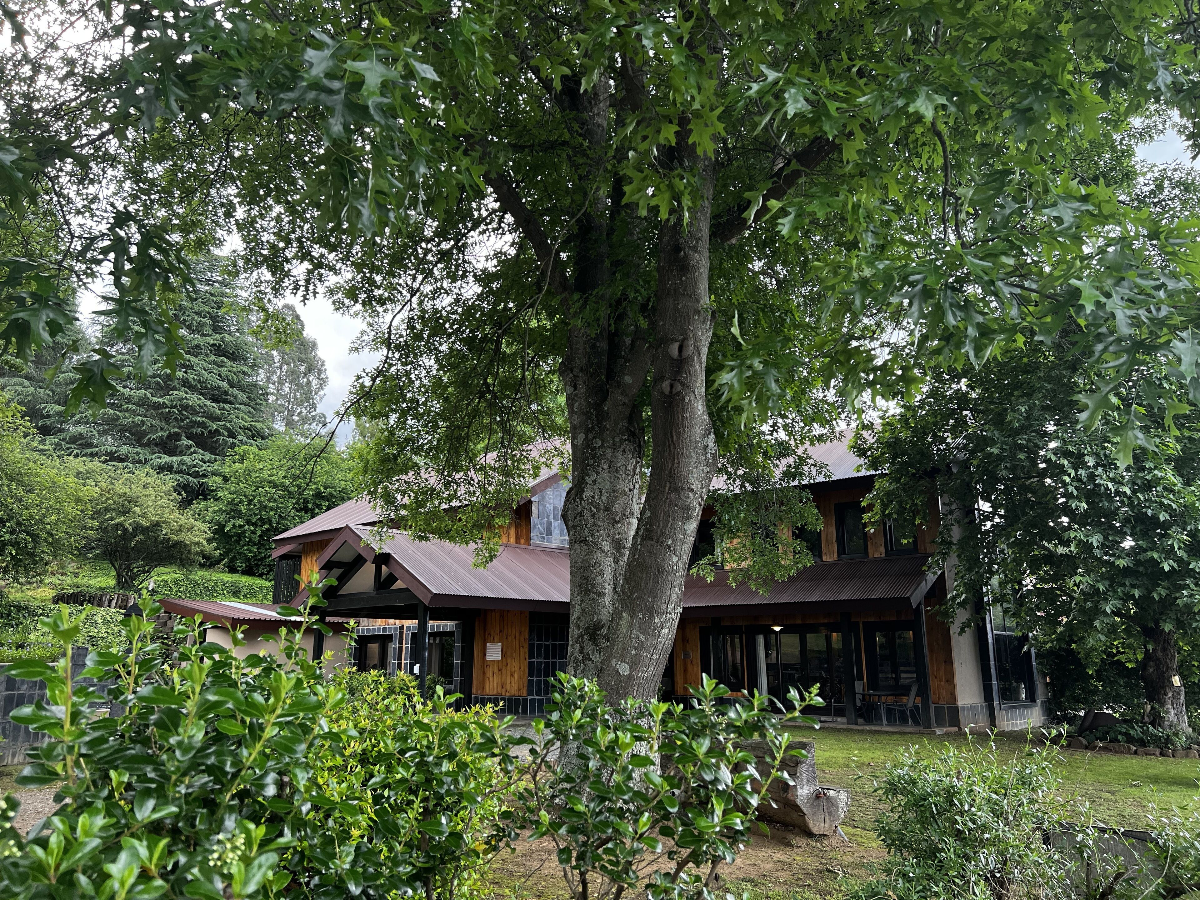 Eksteriør