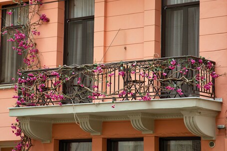 Sweet Home Hotel - Image 78