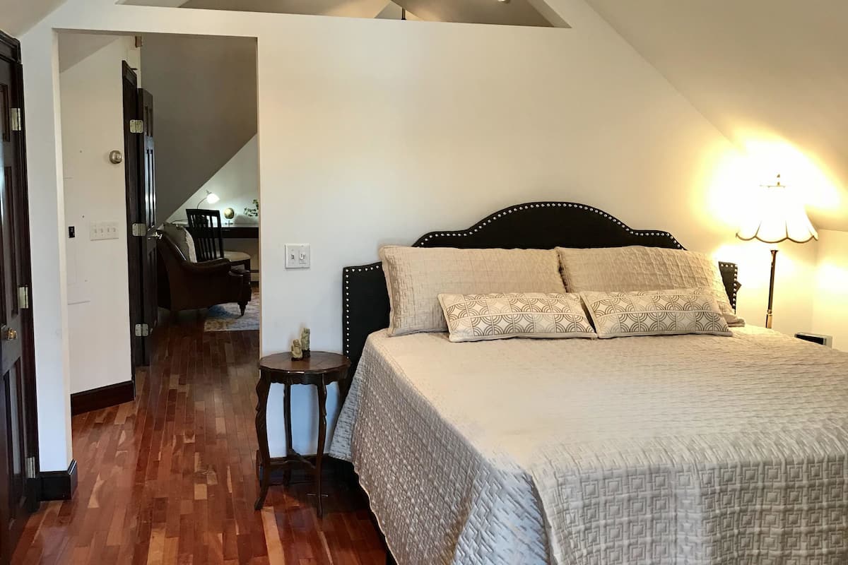 Suite Premier, 1 cama de matrimonio grande | Tabla de planchar con plancha, wifi gratis, ropa de cama