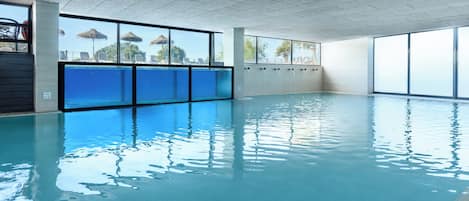 Indoor pool, outdoor pool, sun loungers