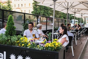 Bar (en el alojamiento)