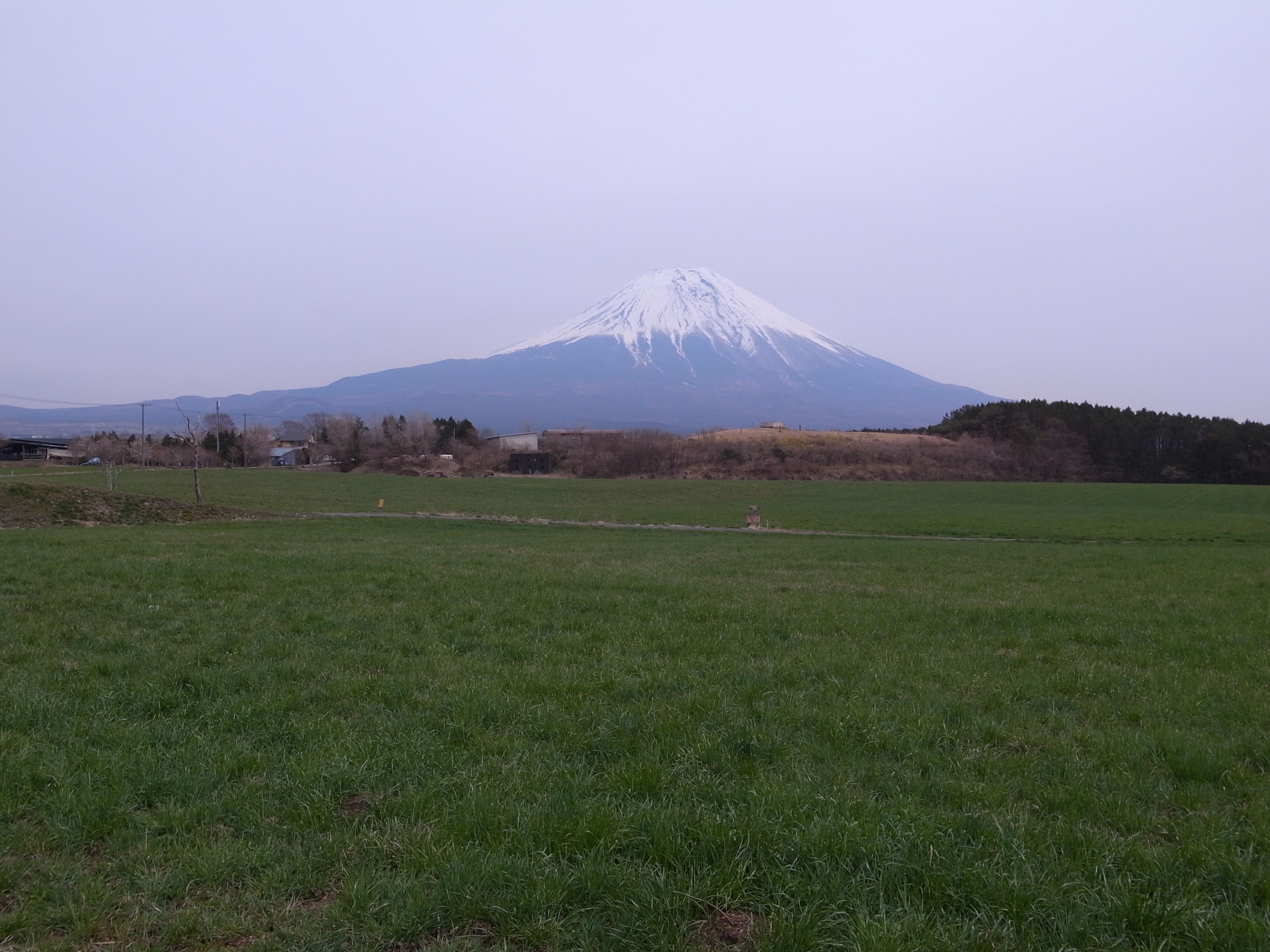 A snow-capped mountain in the distance with a flat, grassy foreground.
