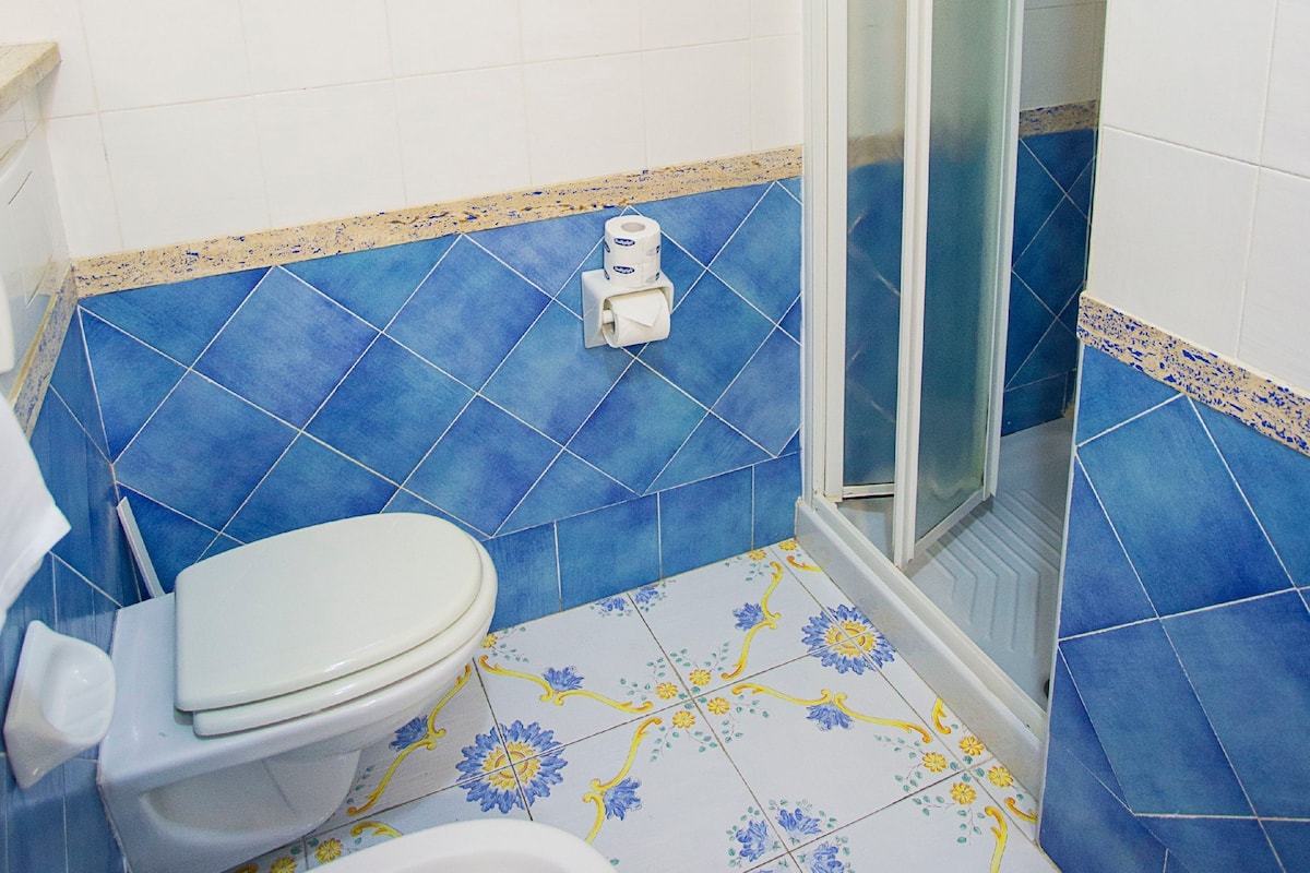 Un baño con inodoro, ducha y baldosas con diseño azul y blanco.