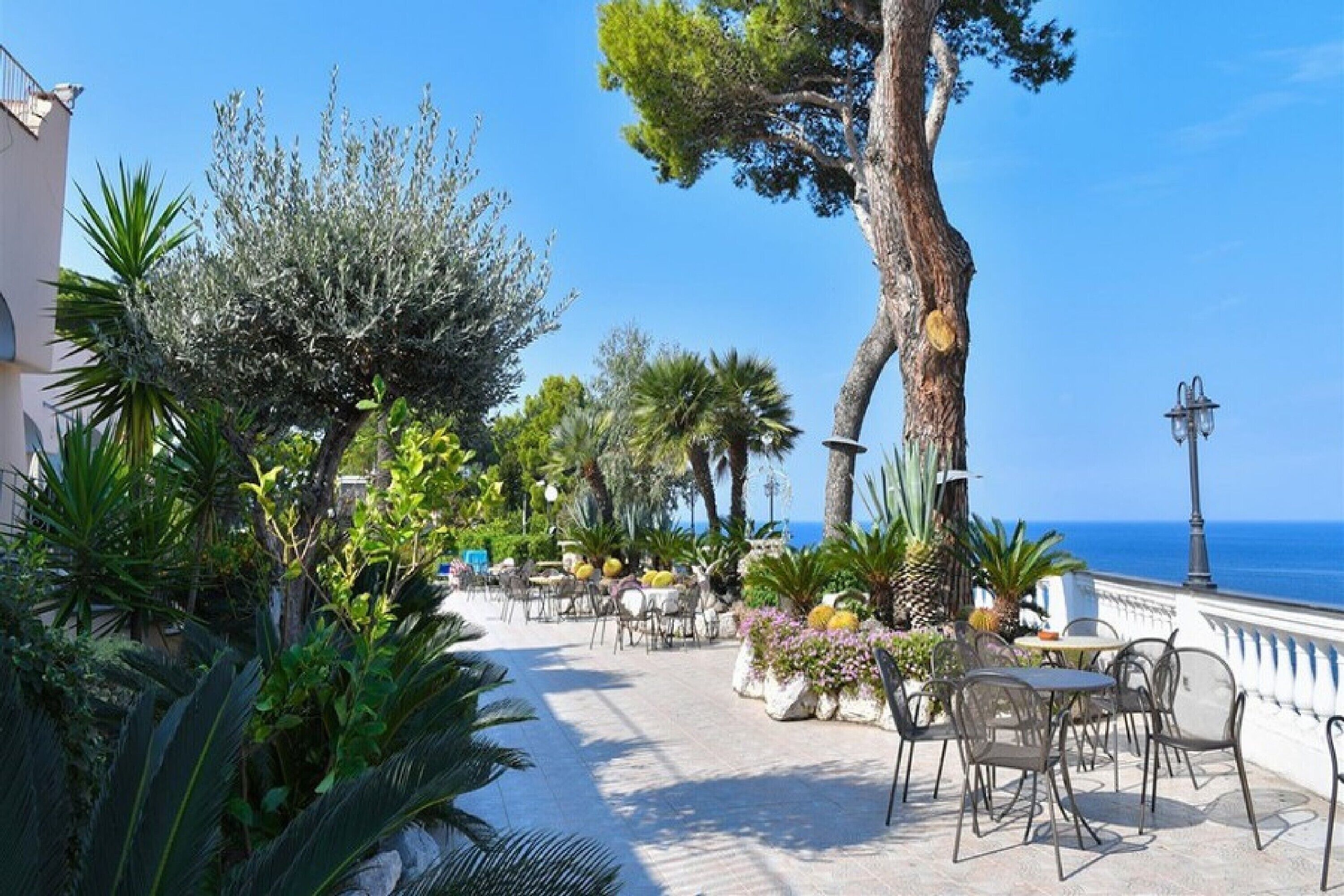 Vista giardino