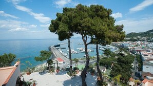 A coastal town with a marina, buildings, and a prominent tree. - Hotel Terme Cristallo Palace  (Casamicciola Terme)