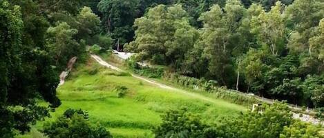 Uitzicht vanuit accommodatie