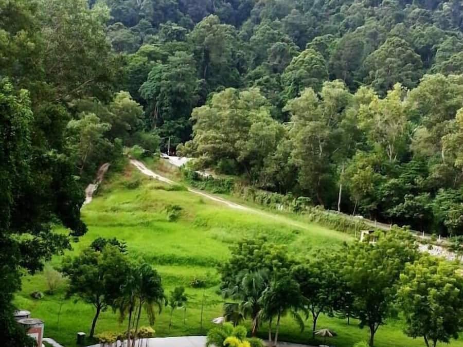 Utsikt fra overnattingsstedet