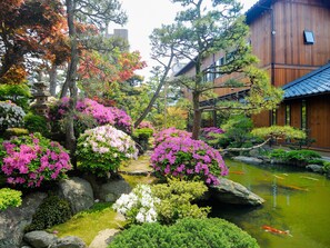 Japanese garden - Haiya (Awara)