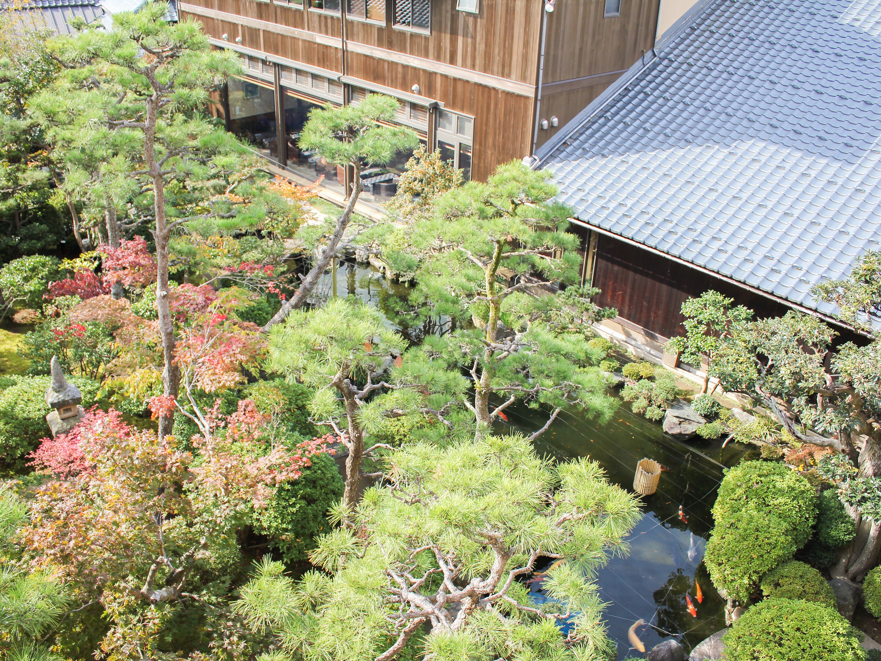 Un jardín japonés tradicional con un estanque de carpas, rodeado de varios árboles y un edificio de madera.