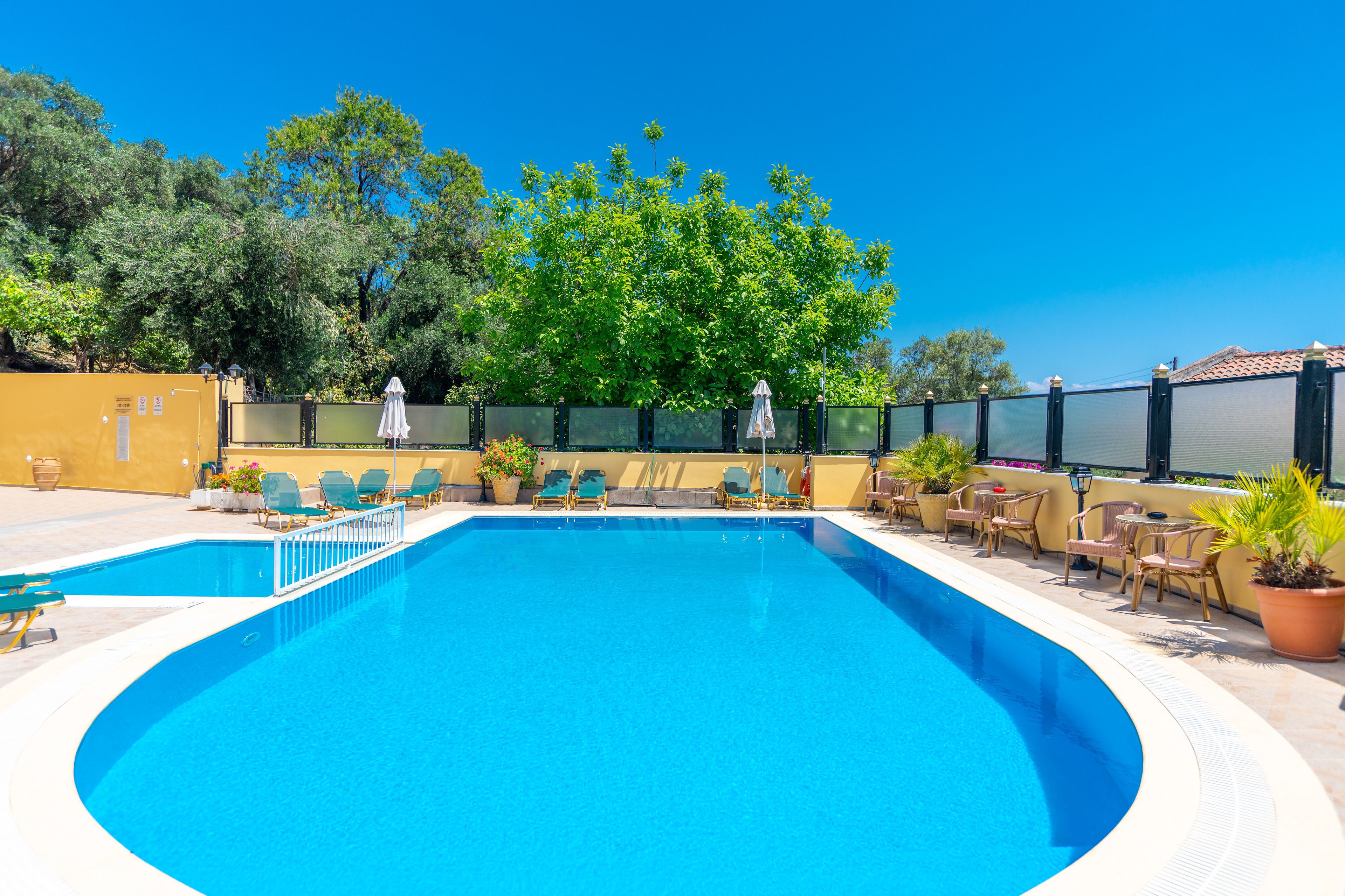 Una piscina rectangular con borde blanco, rodeada de sillas de descanso y plantas en macetas.