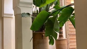 Piscina coberta, para-sols i gandules