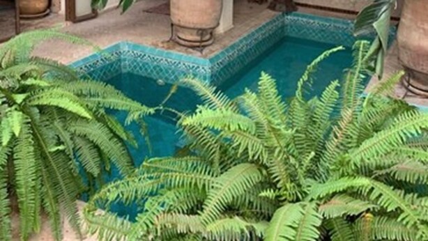 A pool surrounded by large potted plants and ferns, with a decorative tiled wall and arched doorways. - Riad Palacio de las Especias (Marrakech)