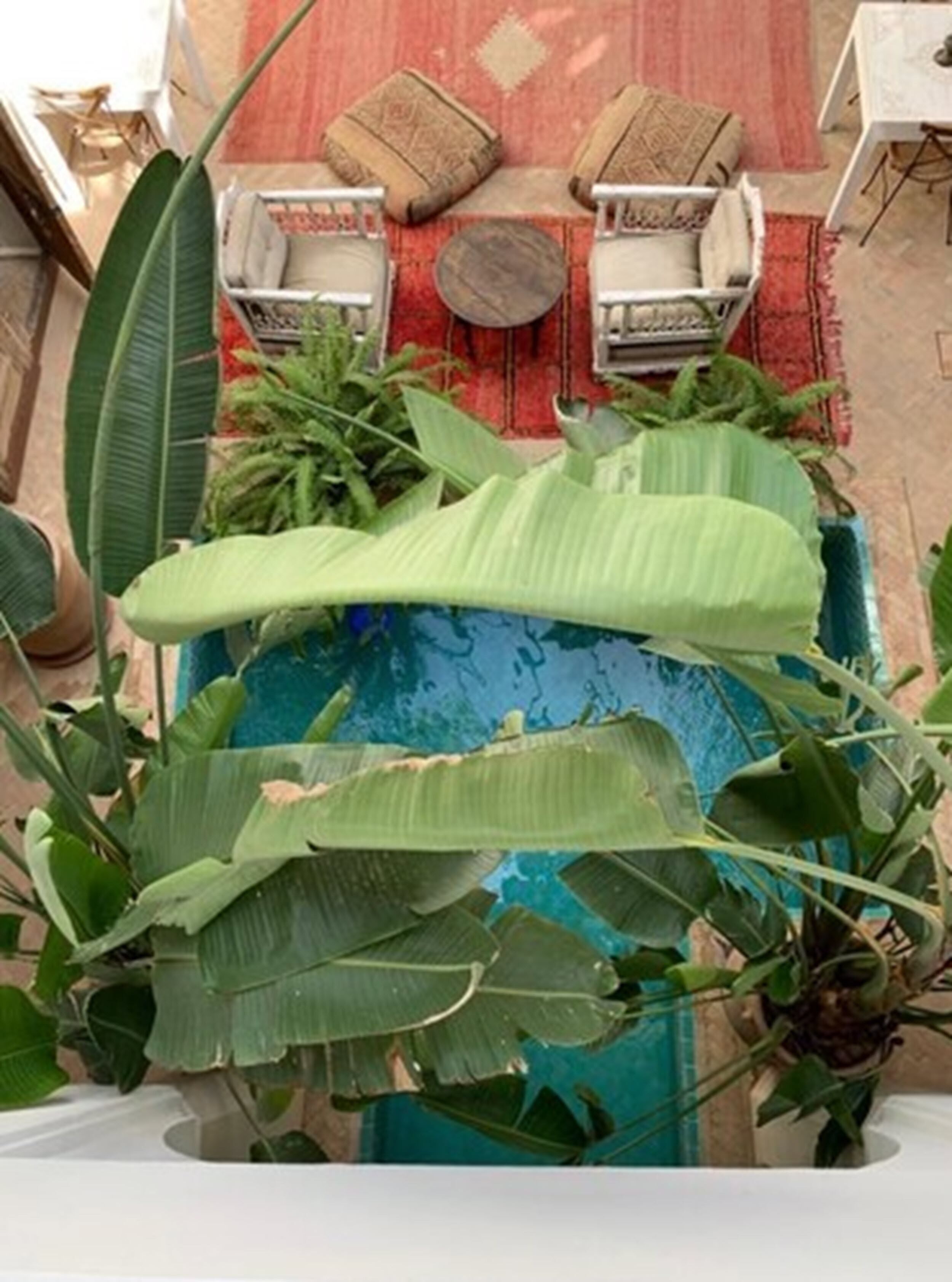 Room (Bab Agnaou) | View from room