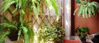 Hospedaria Rio - Hostel