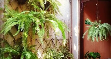 Hospedaria Rio - Hostel