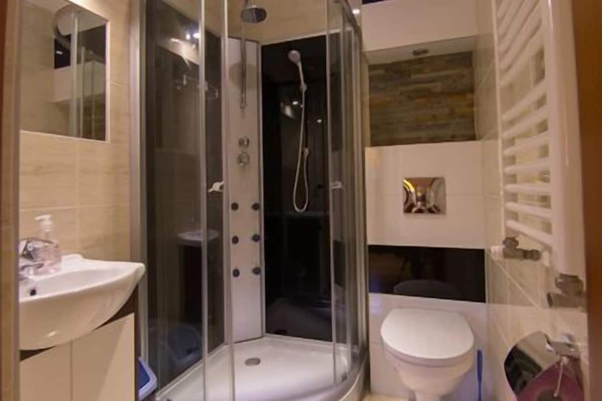Un baño moderno con ducha envuelta en vidrio, un lavamanos blanco y un inodoro.