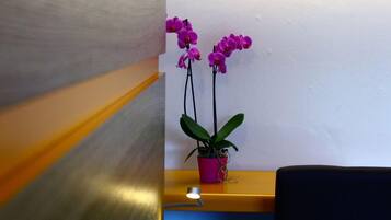 Habitación de hotel con cama, una silla, un escritorio con computadora y una orquídea en maceta.