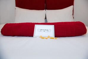 Double Room Single Use - Hôtel le Stanislas (Nancy)