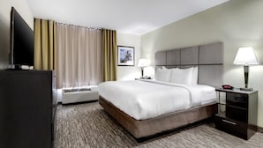 A hotel room with a large bed, a flat-screen TV, a desk with a lamp, and a framed picture on the wall.