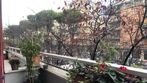 A balcony with potted plants, a railing, and a view of a cityscape with buildings and trees. - Casa Mia Vaticano Guest House (Rome)