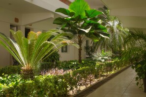 Un pasillo con diversas plantas de interior, incluyendo palmeras grandes y follaje más pequeño, creando un entorno verde exuberante.