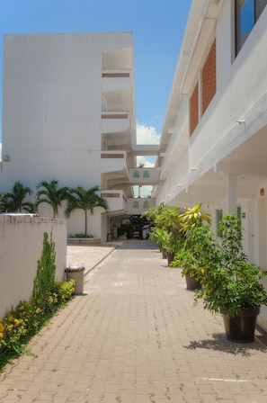 Un couloir orné de plantes en pot, un sol carrelé et un bâtiment blanc doté de nombreux balcons.