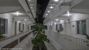 Un pasillo con paredes blancas, varias ventanas y una palmera en el centro.