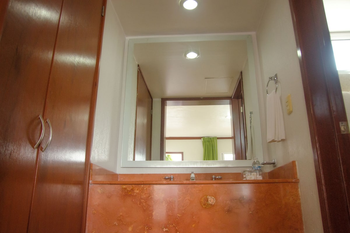 shower, rainfall showerhead, designer toiletries, hair dryer