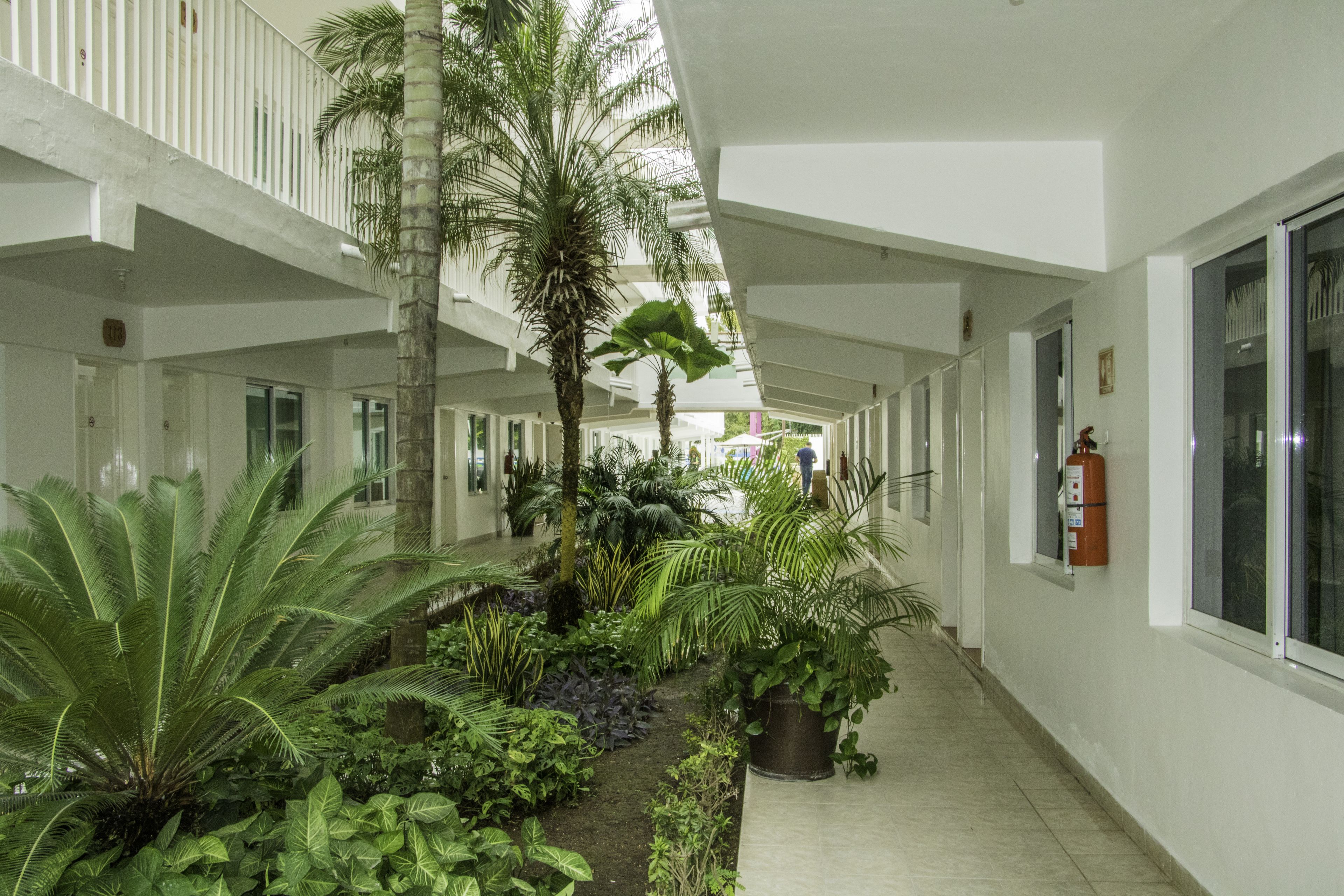 Pasillo de hotel con jardín central, paredes blancas y un extintor a la derecha.
