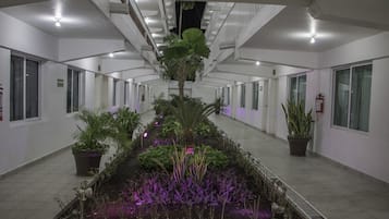Vista para o jardim