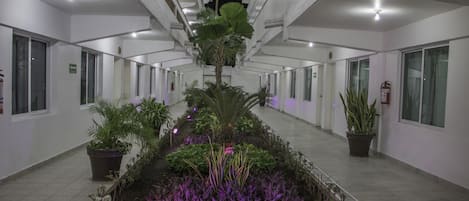 花园景观