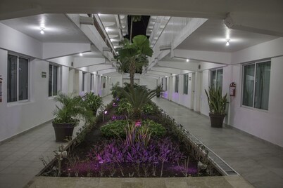 Hotel Casa Blanca