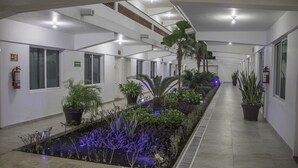 Un pasillo con jardín central, paredes blancas e iluminación en el techo.