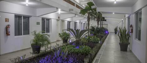 Un pasillo con jardín central, paredes blancas e iluminación en el techo.