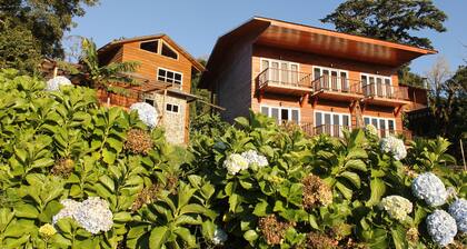Hotel Bosque Verde Lodge