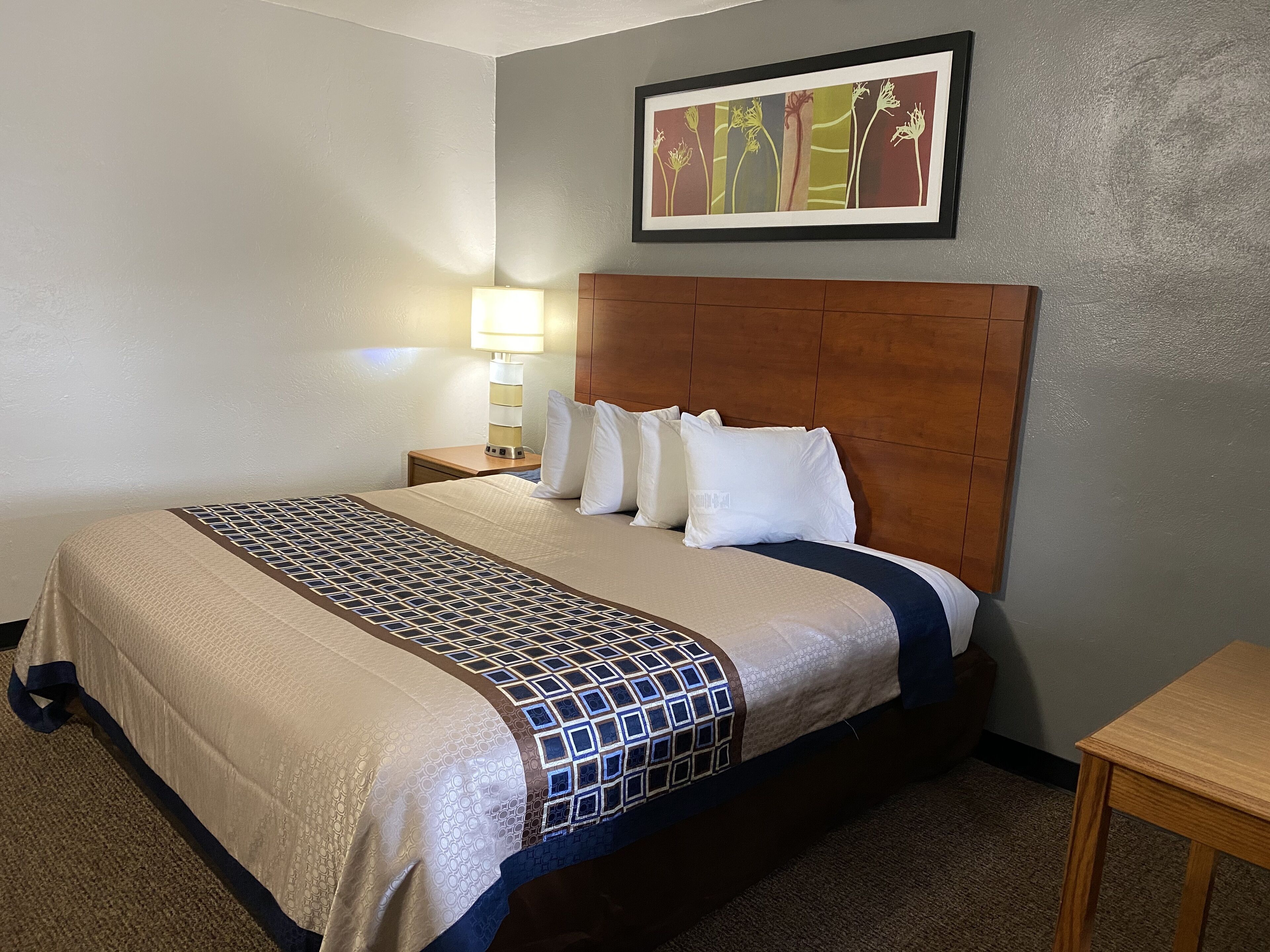 A hotel room with a bed, a nightstand, a lamp, and a framed picture on the wall.