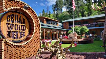 Quang cảnh sân vườn