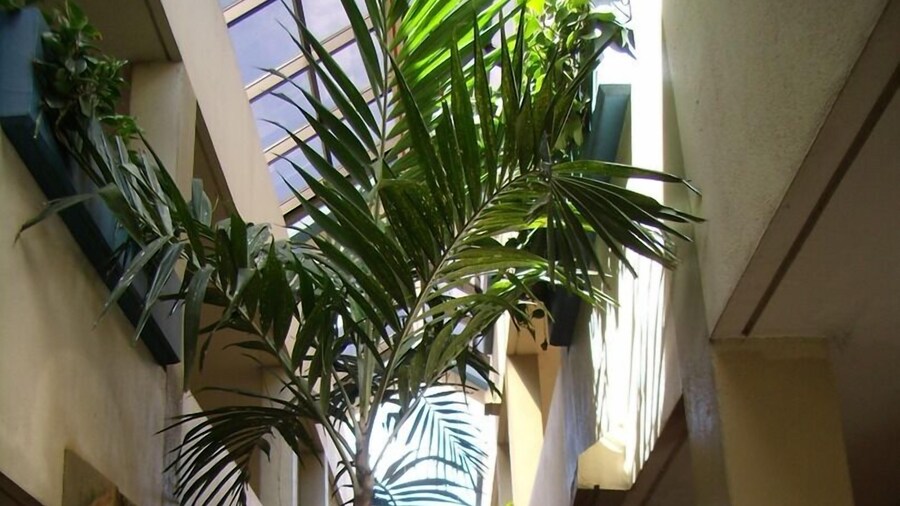 Guam Airport Hotel