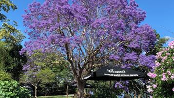 A tree with purple flowers, a black umbrella, and picnic tables in a park.