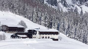 Lumi- ja hiihtourheilulajit