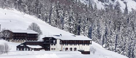 스키 및 겨울 스포츠