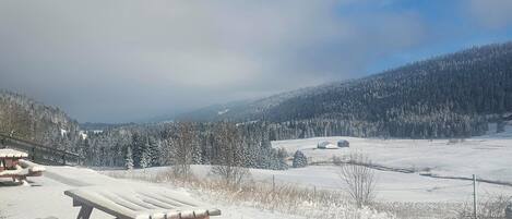 A snow-covered landscape with picnic tables and a view of a forested hill.