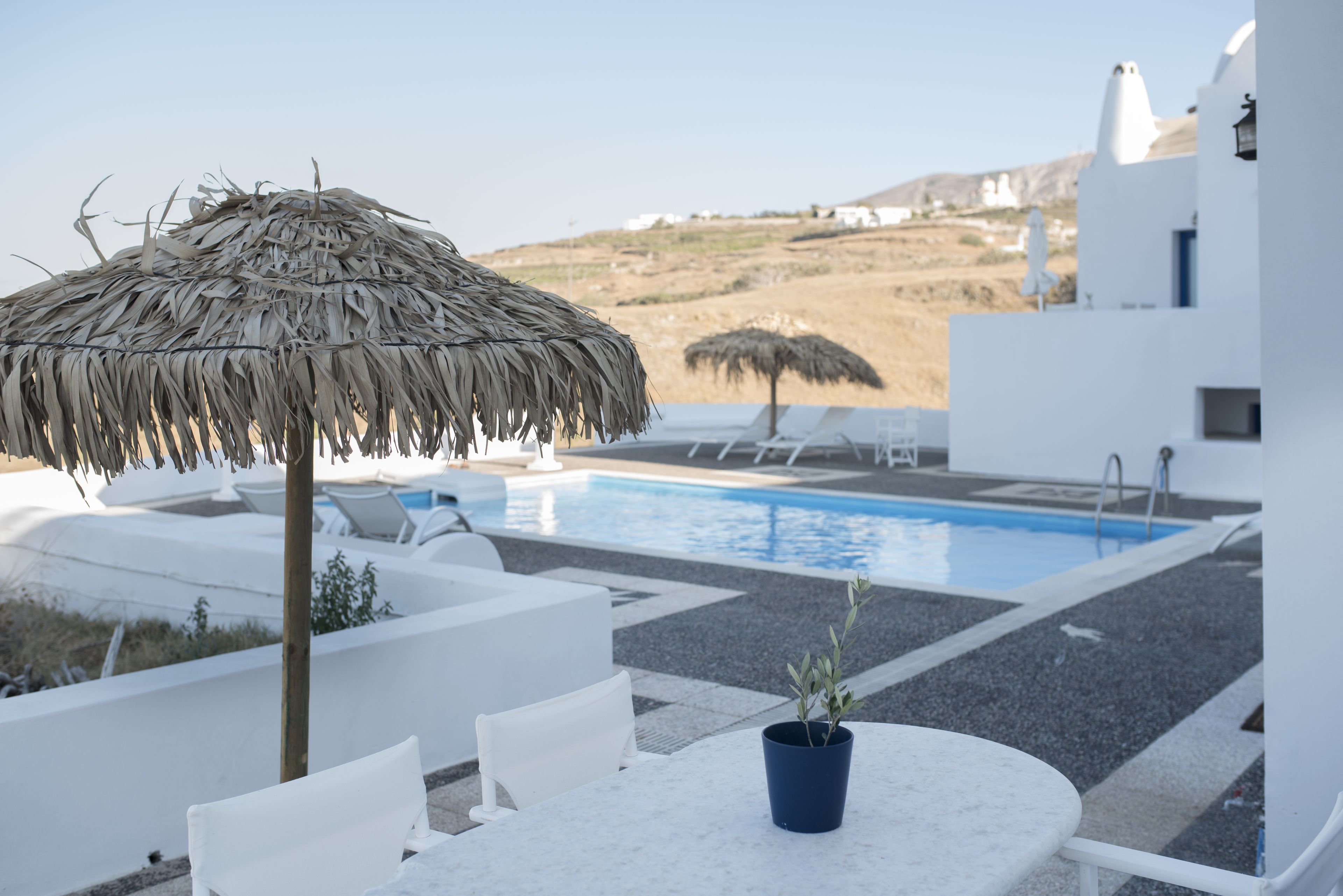 Un área junto a la piscina con una sombrilla de paja, sillas reclinables blancas y una pequeña mesa con una planta en maceta.