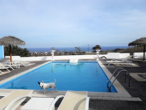 Poolbereich mit Hund, Liegestühlen und Meerblick.