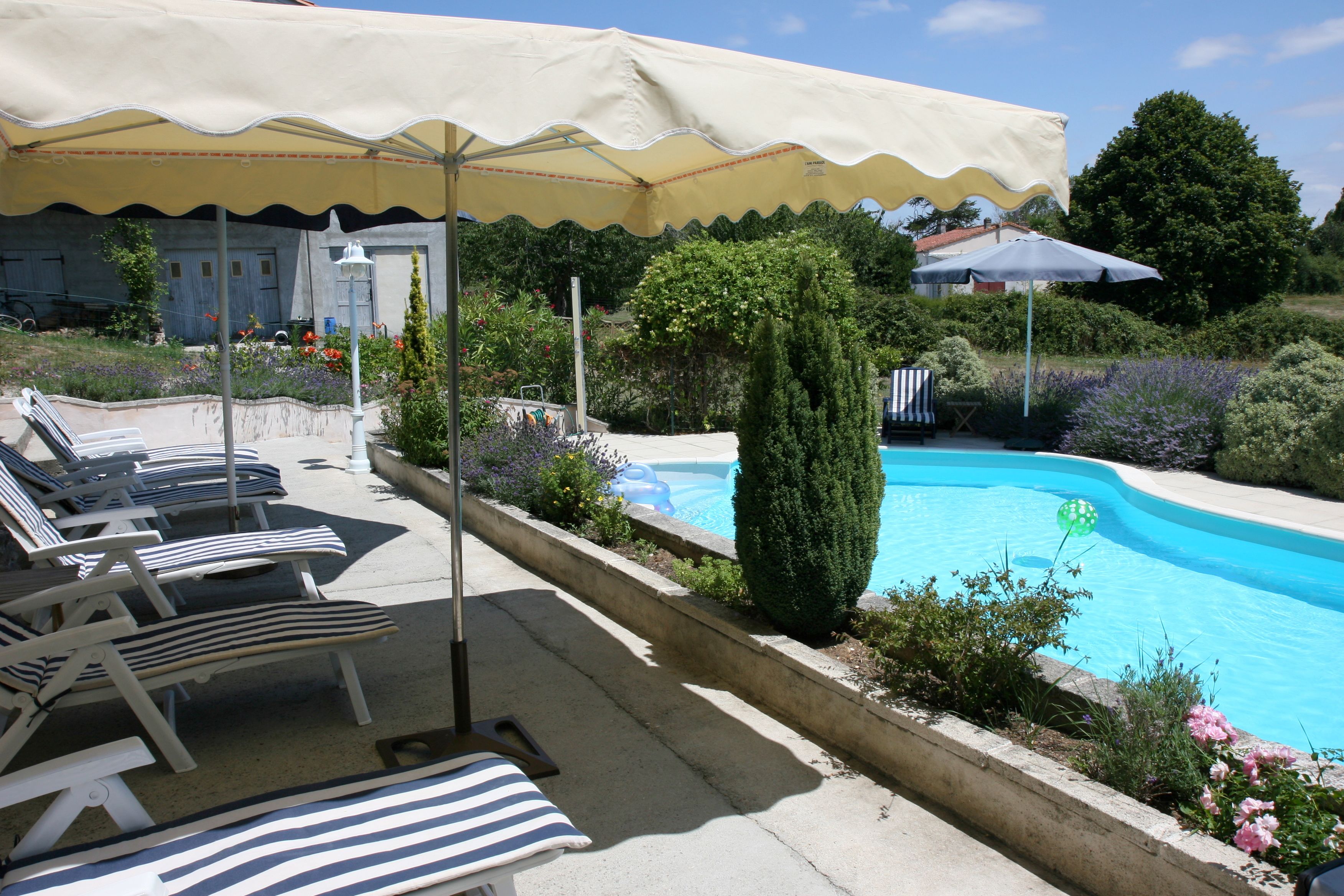 Ein Poolbereich mit Liegestühlen und Sonnenschirmen.