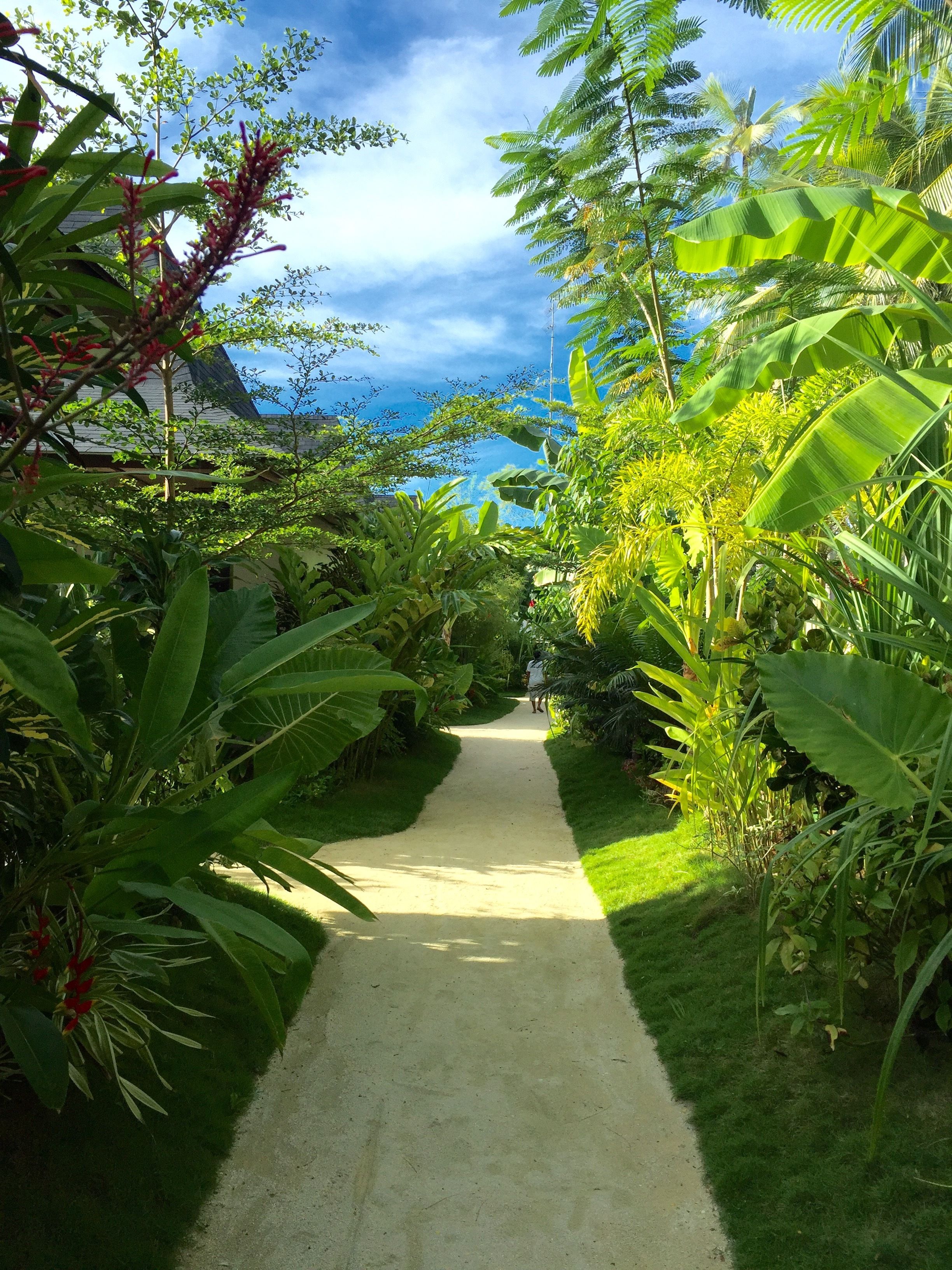 Outdoor wedding area