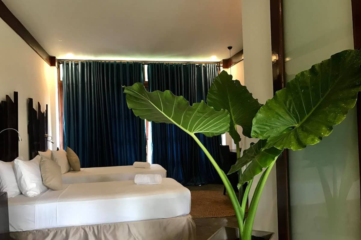 A modern hotel room with a large bed, a potted plant, and dark curtains.