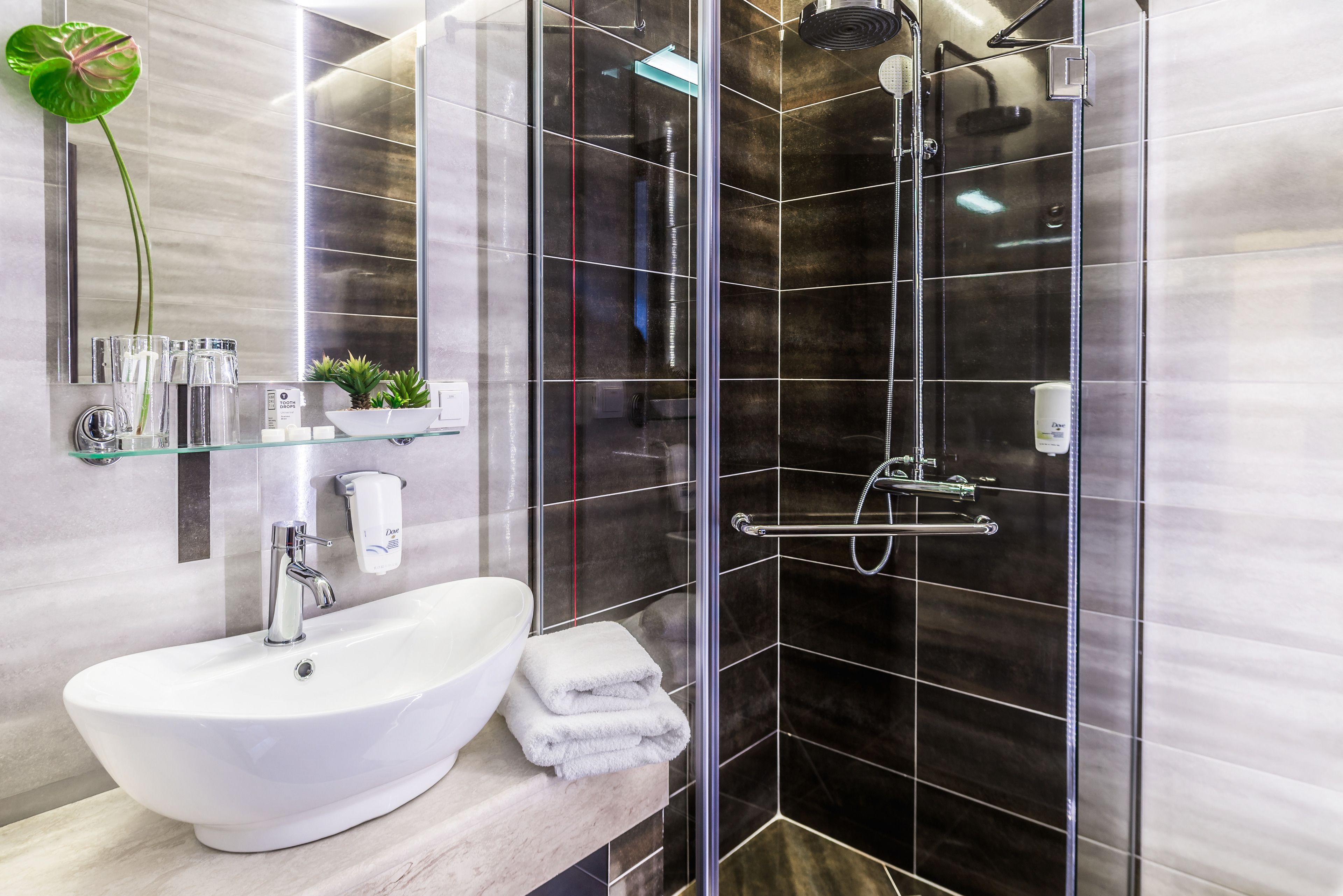 Shower, free toiletries, hair dryer, slippers