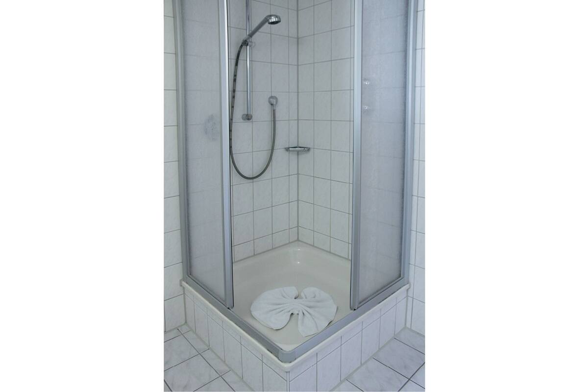 shower, free toiletries, hair dryer, towels